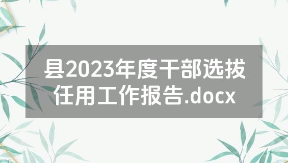 县2023年度干部选拔任用工作报告.docx