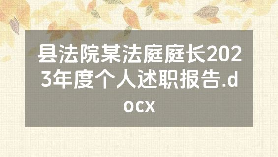 县法院某法庭庭长2023年度个人述职报告.docx