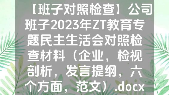 【班子对照检查】公司班子2023年ZT教育专题民主生活会对照检查材料（企业，检视剖析，发言提纲，六个方面，范文）.docx