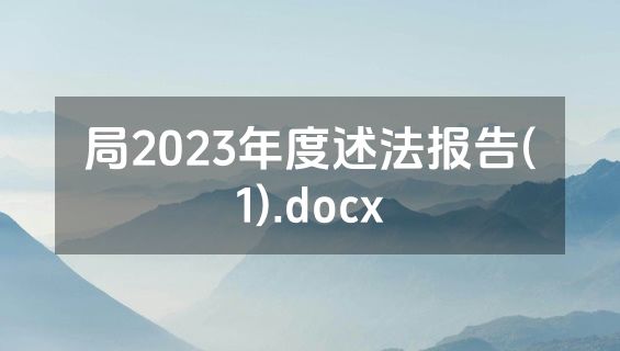 局2023年度述法报告(1).docx