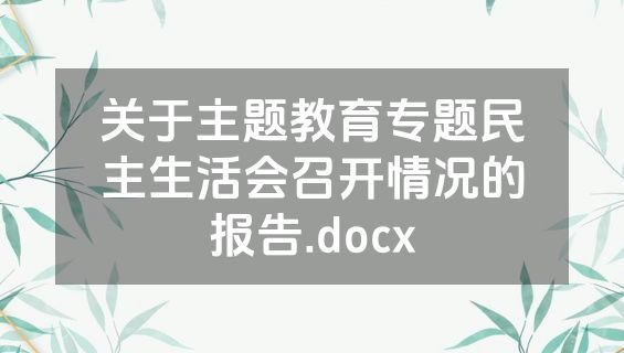 关于主题教育专题民主生活会召开情况的报告.docx