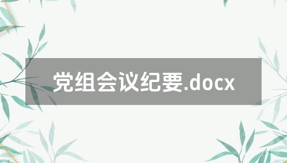 党组会议纪要.docx