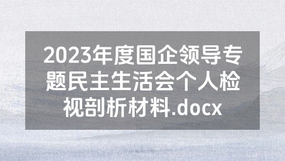 2023年度国企领导专题民主生活会个人检视剖析材料.docx