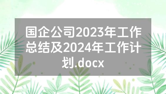 国企公司2023年工作总结及2024年工作计划.docx