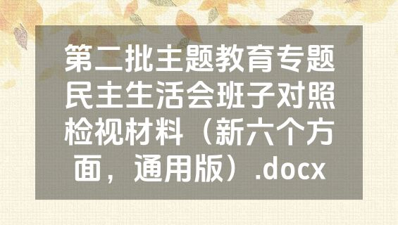 第二批主题教育专题民主生活会班子对照检视材料（新六个方面，通用版）.docx