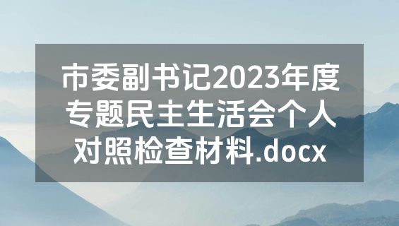 市委副书记2023年度专题民主生活会个人对照检查材料.docx
