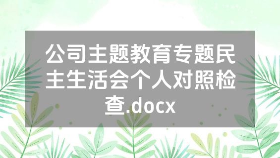 公司主题教育专题民主生活会个人对照检查.docx
