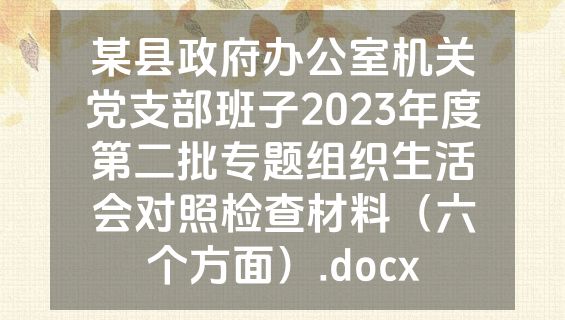某县政府办公室机关党支部班子2023年度第二批专题组织生活会对照检查材料（六个方面）.docx