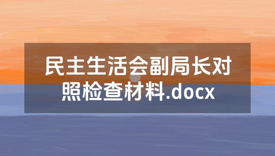 民主生活会副局长对照检查材料.docx