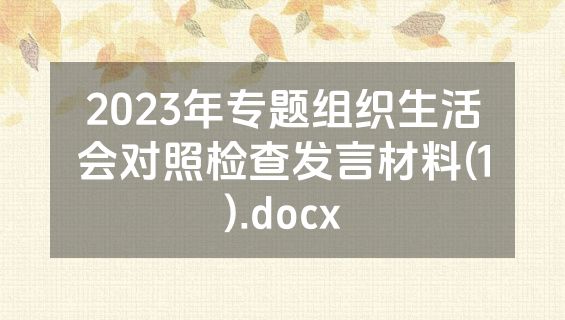 2023年专题组织生活会对照检查发言材料(1).docx