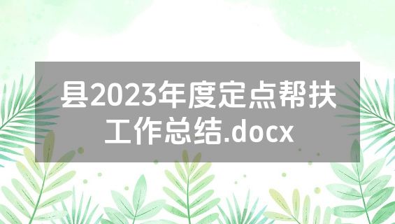 县2023年度定点帮扶工作总结.docx
