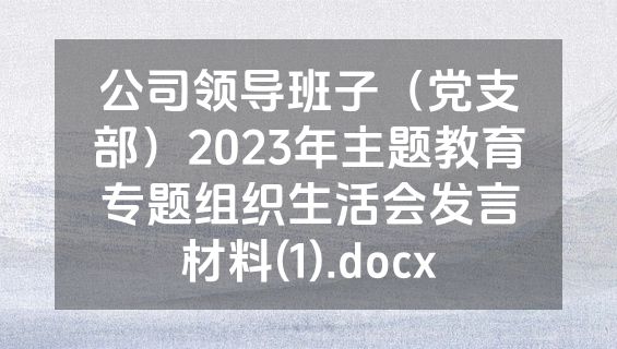 公司领导班子（党支部）2023年主题教育专题组织生活会发言材料(1).docx