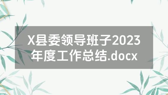 X县委领导班子2023年度工作总结.docx