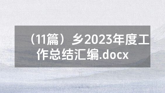 （11篇）乡2023年度工作总结汇编.docx