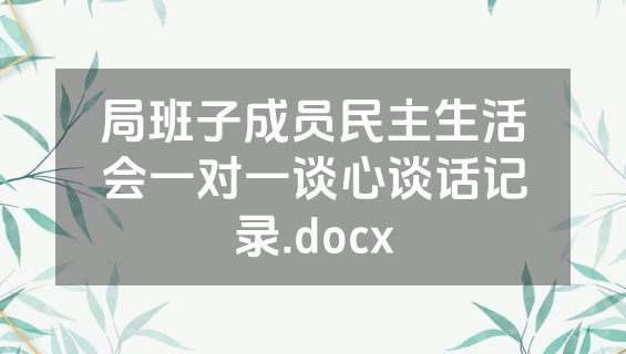 局班子成员民主生活会一对一谈心谈话记录.docx