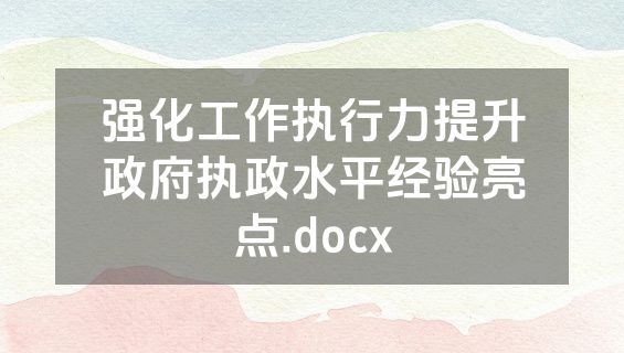 强化工作执行力提升政府执政水平经验亮点.docx