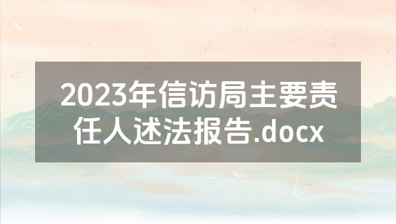 2023年信访局主要责任人述法报告.docx