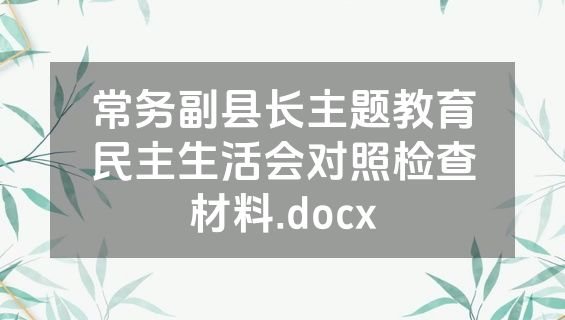 常务副县长主题教育民主生活会对照检查材料.docx