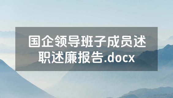 国企领导班子成员述职述廉报告.docx