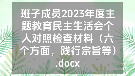 班子成员2023年度主题教育民主生活会个人对照检查材料（六个方面，践行宗旨等）.docx