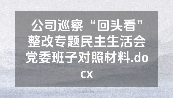 公司巡察“回头看”整改专题民主生活会党委班子对照材料.docx