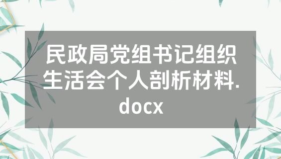 民政局党组书记组织生活会个人剖析材料.docx