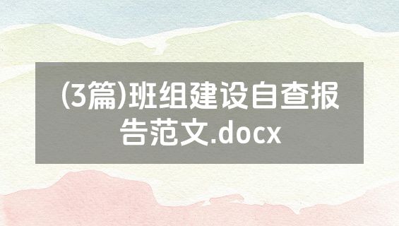 (3篇)班组建设自查报告范文.docx