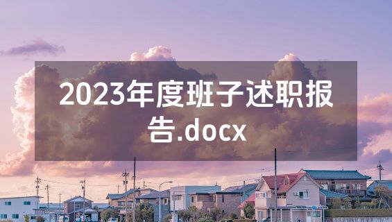 2023年度班子述职报告.docx