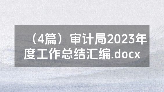 （4篇）审计局2023年度工作总结汇编.docx