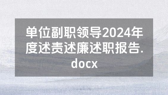 单位副职领导2024年度述责述廉述职报告.docx