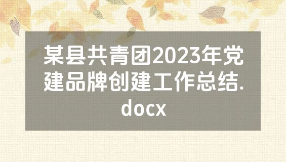 某县共青团2023年党建品牌创建工作总结.docx