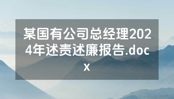 某国有公司总经理2024年述责述廉报告.docx