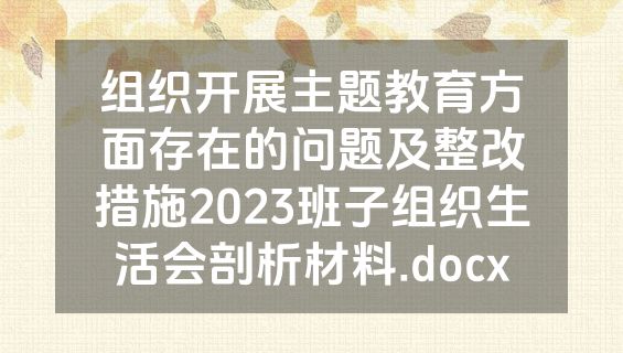 组织开展主题教育方面存在的问题及整改措施2023班子组织生活会剖析材料.docx