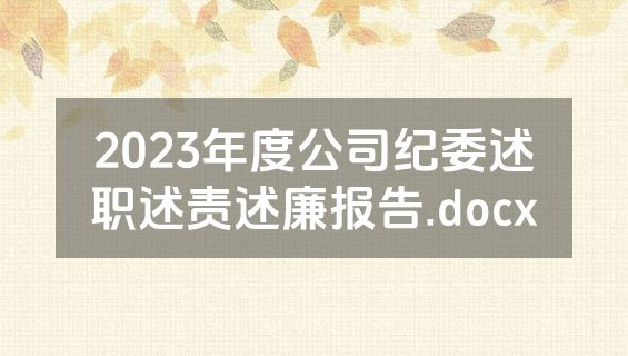 2023年度公司纪委述职述责述廉报告.docx