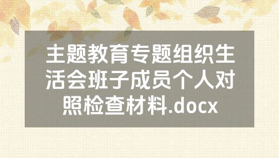 主题教育专题组织生活会班子成员个人对照检查材料.docx