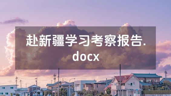 赴新疆学习考察报告.docx