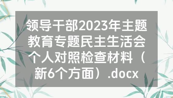 领导干部2023年主题教育专题民主生活会个人对照检查材料（新6个方面）.docx