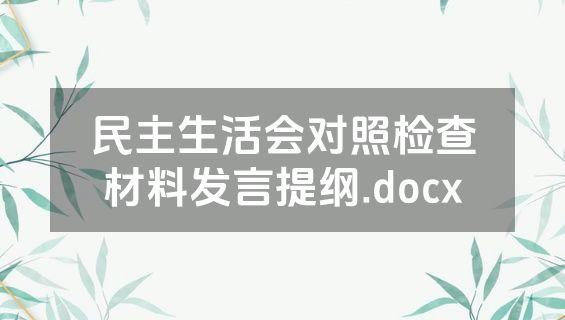 民主生活会对照检查材料发言提纲.docx