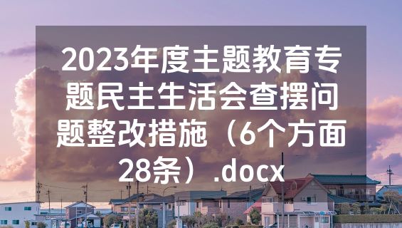 2023年度主题教育专题民主生活会查摆问题整改措施（6个方面28条）.docx