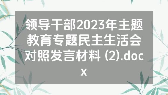 领导干部2023年主题教育专题民主生活会对照发言材料 (2).docx