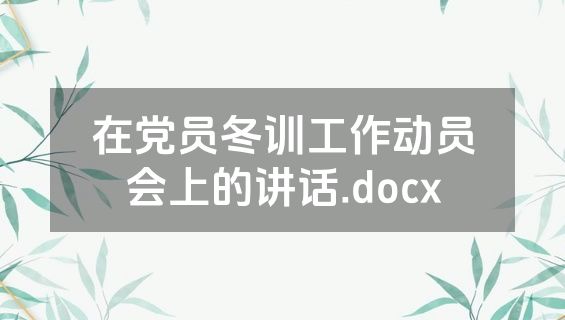在党员冬训工作动员会上的讲话.docx