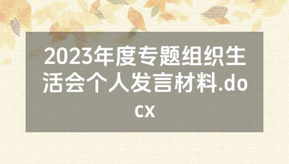 2023年度专题组织生活会个人发言材料.docx