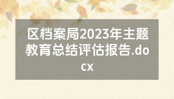 区档案局2023年主题教育总结评估报告.docx