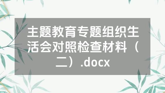 主题教育专题组织生活会对照检查材料（二）.docx