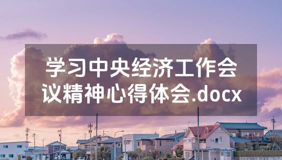 学习中央经济工作会议精神心得体会.docx