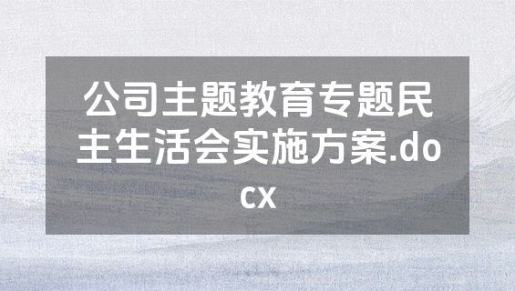 公司主题教育专题民主生活会实施方案.docx