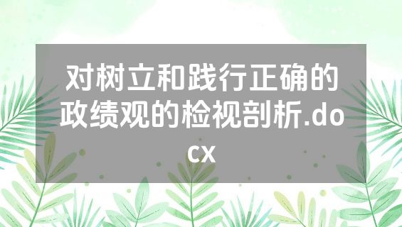 对树立和践行正确的政绩观的检视剖析.docx
