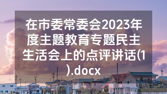 在市委常委会2023年度主题教育专题民主生活会上的点评讲话(1).docx