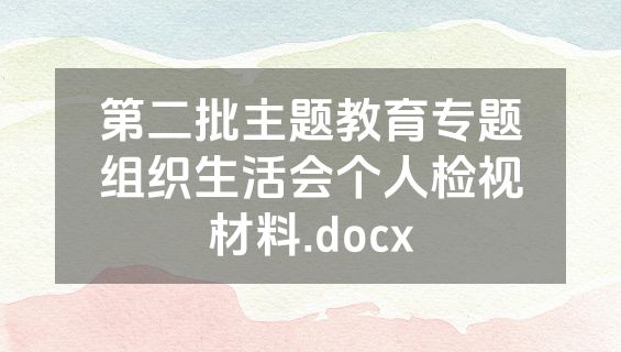 第二批主题教育专题组织生活会个人检视材料.docx