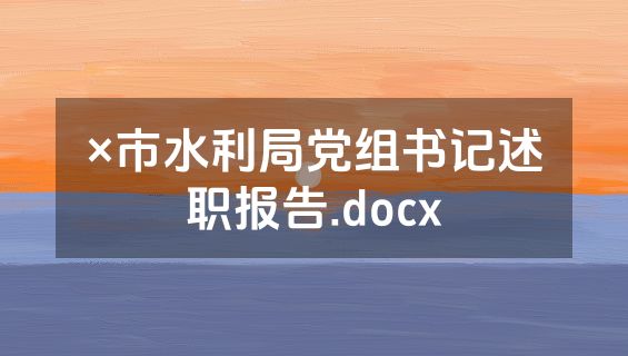 ×市水利局党组书记述职报告.docx